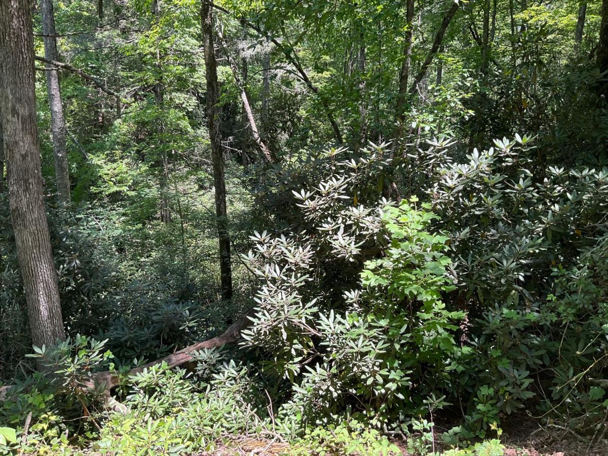 Tallulah Gorge Retreat Lakemont Екстер'єр фото